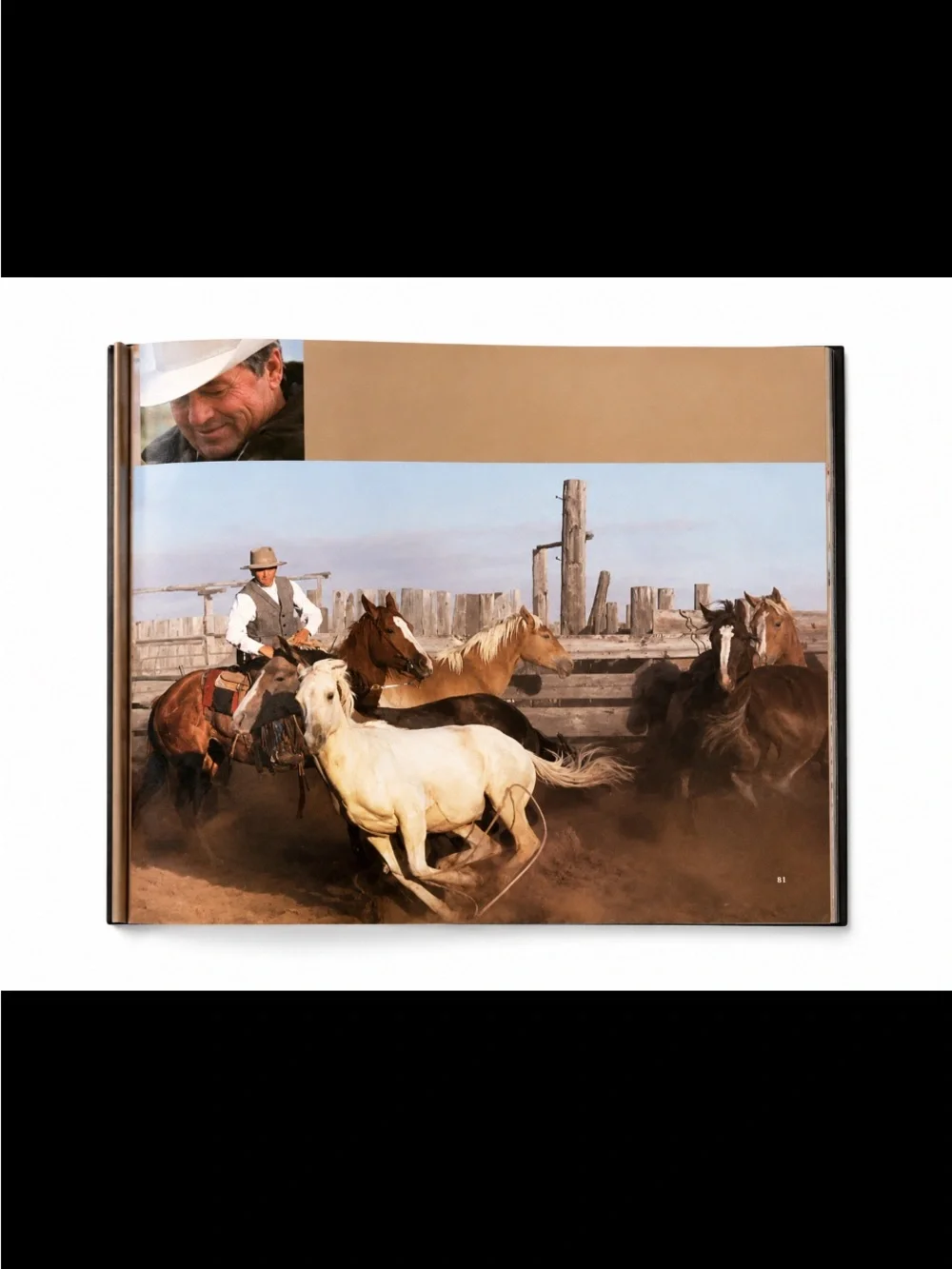 Cowboy Ethics: What It Takes to Win at Life 10th Anniversary by James P. Owen